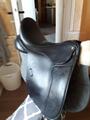 SLLE DRESSAGE