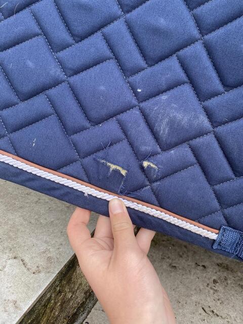 Tapis equitheme
