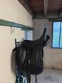 Selle dressage Antares