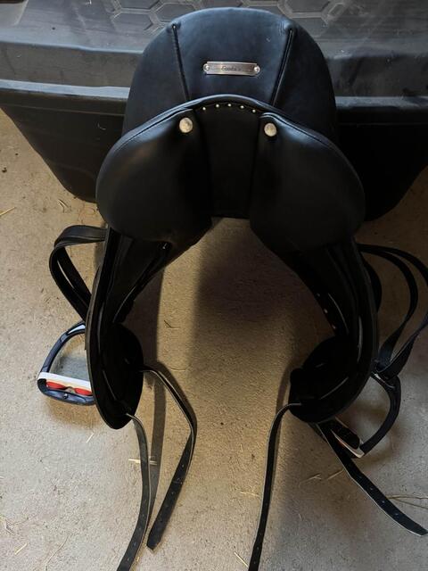 Selle dressage Antares