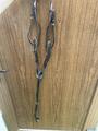 collier de chasse