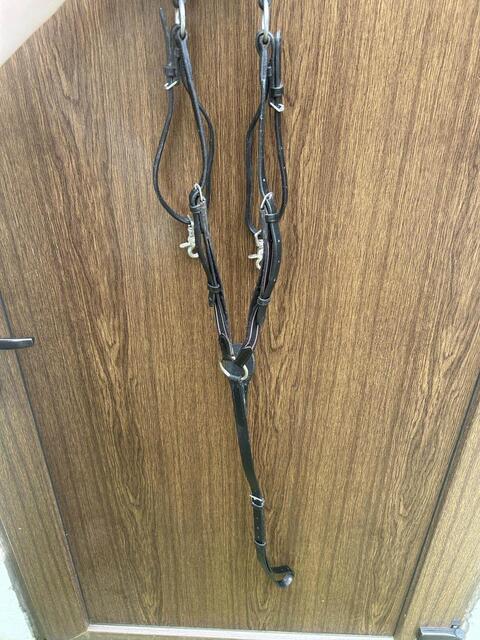 collier de chasse