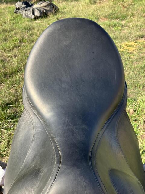 Selle dressage Childeric