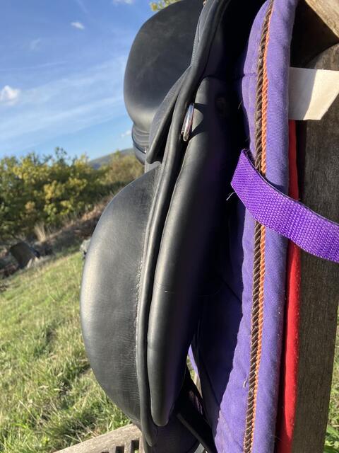 Selle dressage Childeric