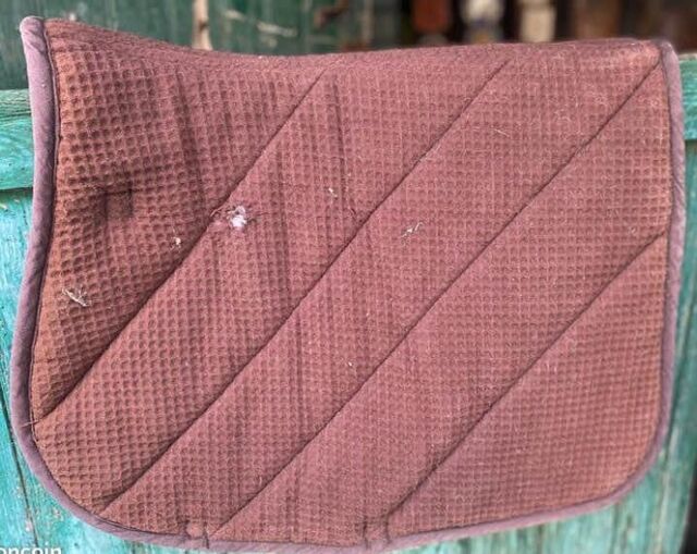 Tapis equithème