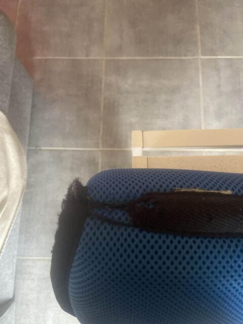 tapis haf équitation