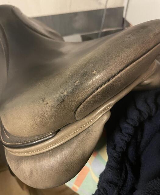 Selle ikonic 16,5 pouces