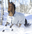 Couverture Bucas power turnout
