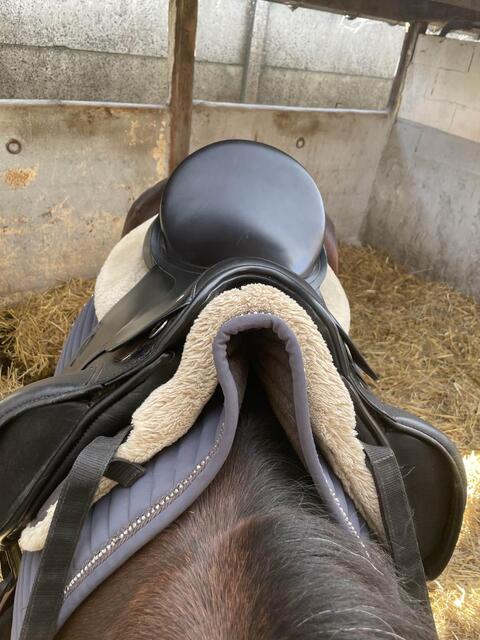 selle de dressage passier 17’