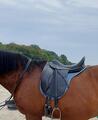 Selle de dressage Prestige Helen K