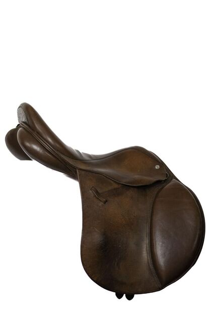 Selle jumping Loxley by bliss