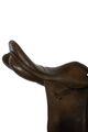 Selle jumping Loxley by bliss