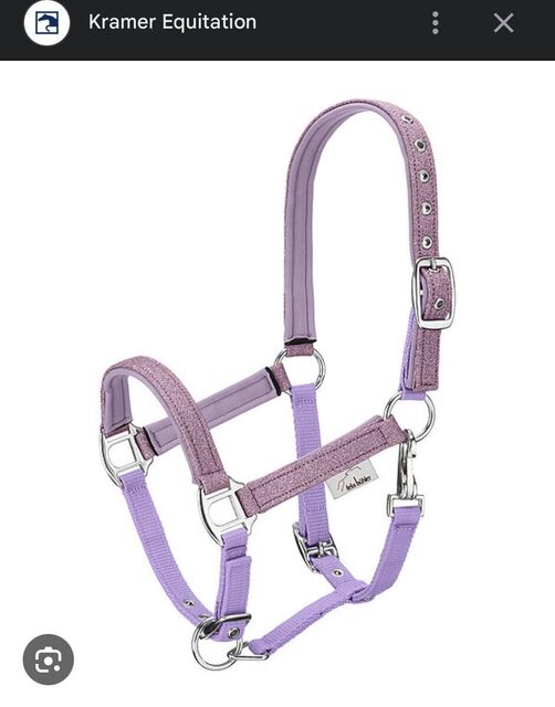 licol poulain-shetland mauve à paillettes