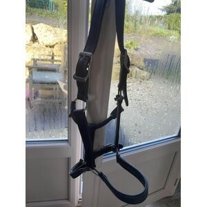 licol en cuir noir