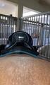 Selle de dressage