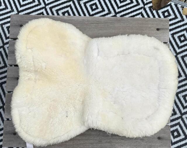 Amortisseur mouton BR