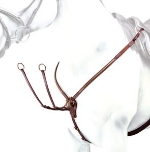 Collier de chasse en Y, avec martingale, détails clincher, Équipe Emporio