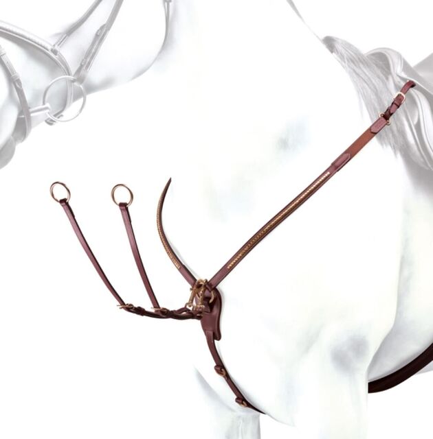 Collier de chasse en Y, avec martingale, détails clincher, Équipe Emporio