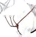 Collier de chasse en Y, avec martingale, détails clincher, Équipe Emporio