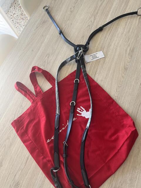 Collier de chasse en Y, avec martingale, détails clincher, Équipe Emporio