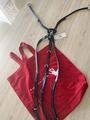 Collier de chasse en Y, avec martingale, détails clincher, Équipe Emporio
