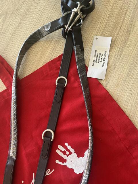 Collier de chasse en Y, avec martingale, détails clincher, Équipe Emporio