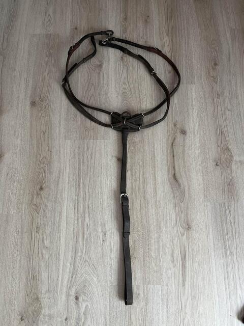 Collier de Chasse Dyon