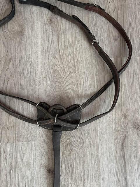 Collier de Chasse Dyon