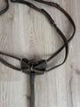 Collier de Chasse Dyon