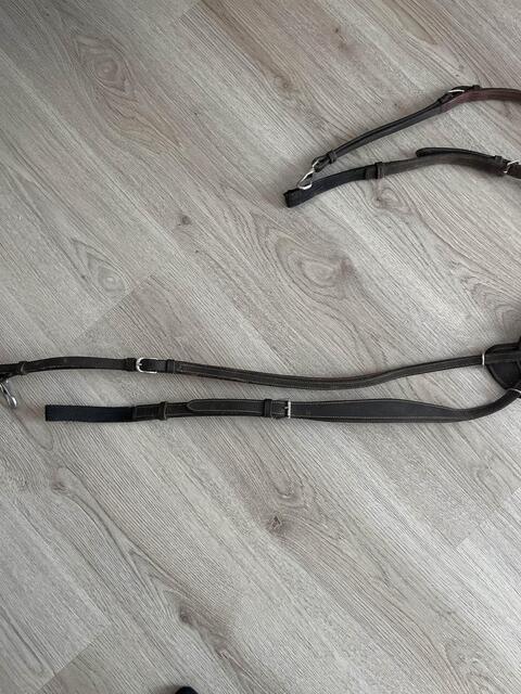 Collier de Chasse Dyon