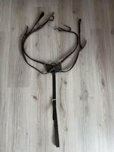 Collier de chasse Dyon