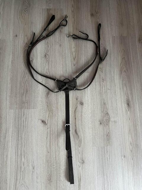 Collier de chasse Dyon
