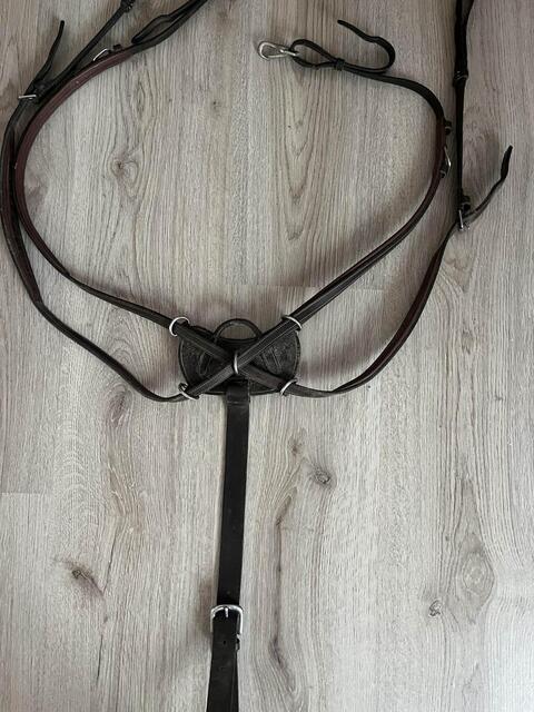 Collier de chasse Dyon