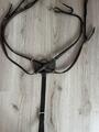 Collier de chasse Dyon