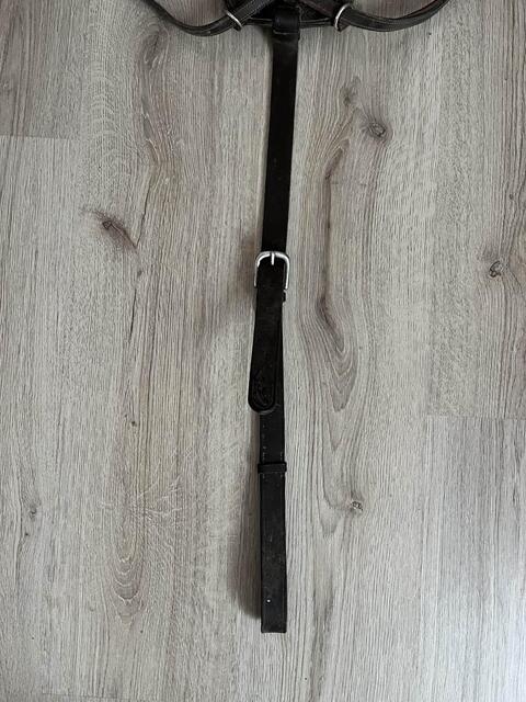 Collier de chasse Dyon