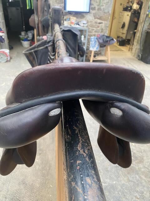 Selle GBS 16.5