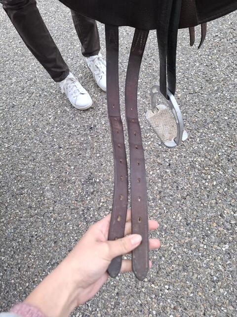 Selle forestier