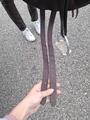 Selle forestier