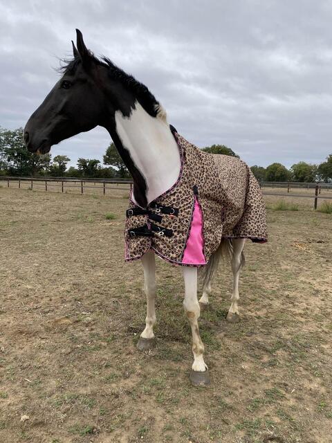 Couverture imperial riding