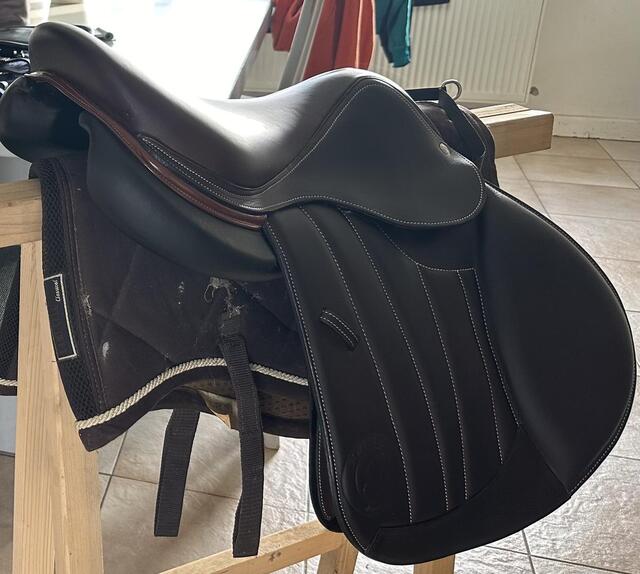 Selle Forestier Seaoul 17’
