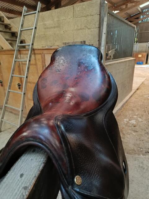 selle mixte Delgrange