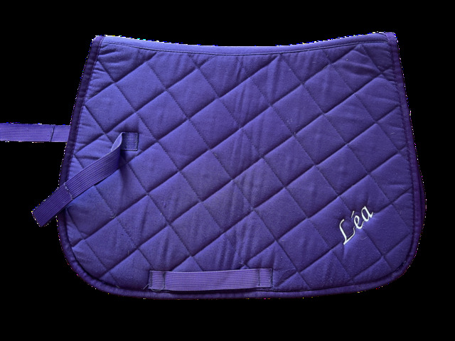 Tapis pour poney