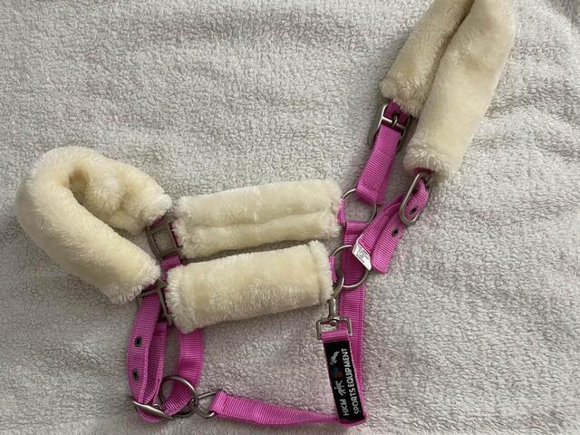 Licol Rose Mouton HKM