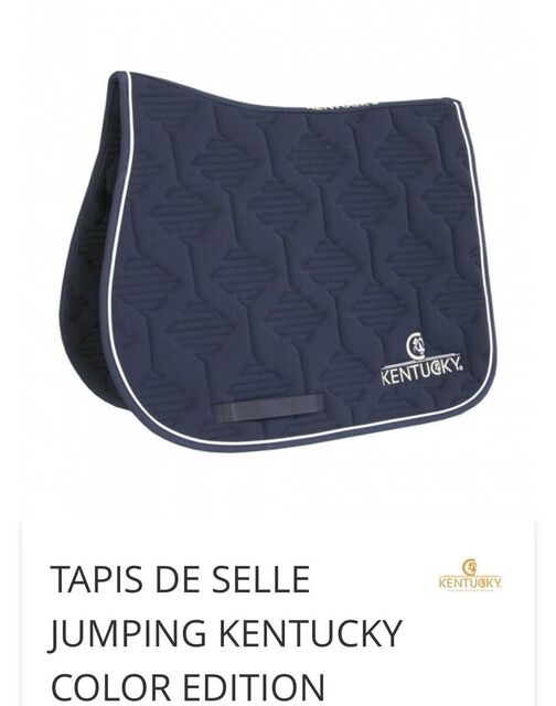 tapis Kentucky gris