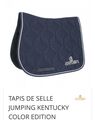 tapis Kentucky gris