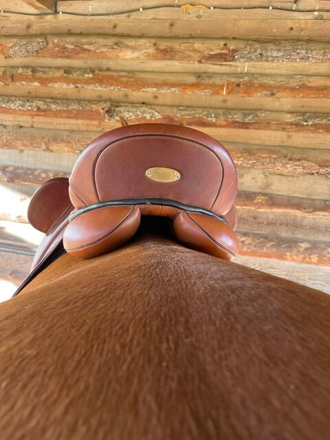 Selle dressage Zaldi