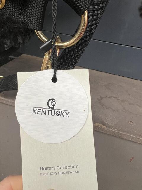 Licol mouton Kentucky