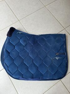 Tapis dyon