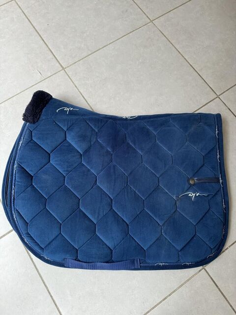 Tapis dyon