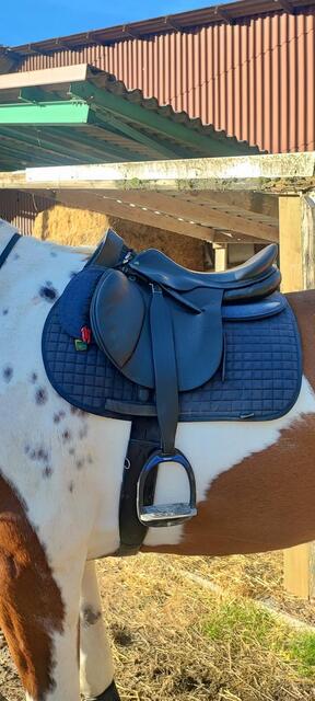 Selle prestige roma jump